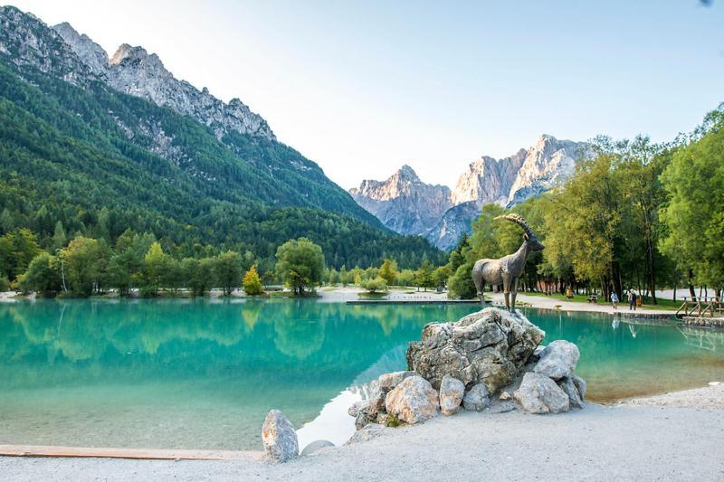 Bor In Bor Luxury Apartment With Sauna & Garden - Kranjska Gora Exterior photo